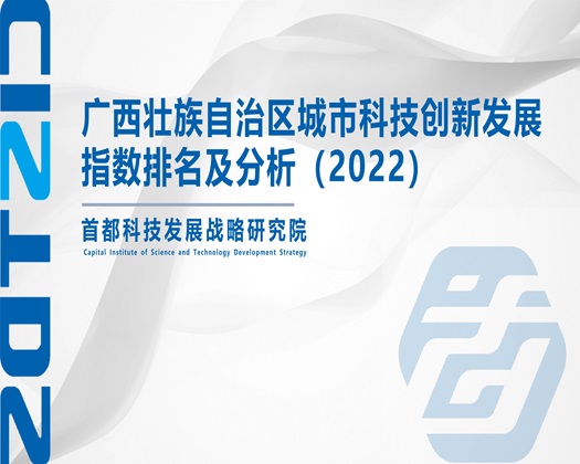 www.17c逼【成果发布】广西壮族自治区城市科技创新发展指数排名及分析（2022）